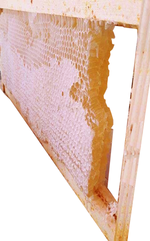 honingraat