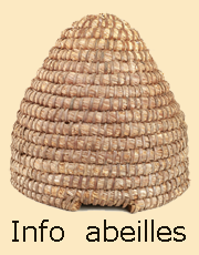 info abeilles