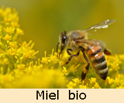 miel bio 