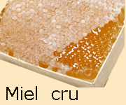  miel cru 