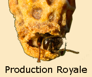  production gelee  royale