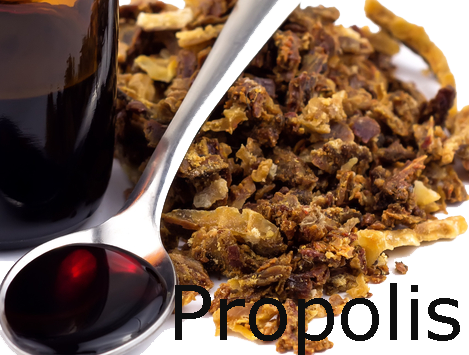 propolis